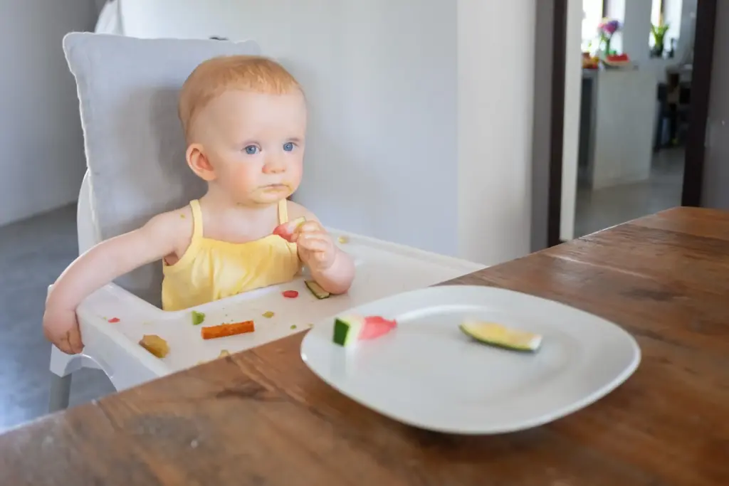 Bebé probando sandía en su trona durante una primera comida.