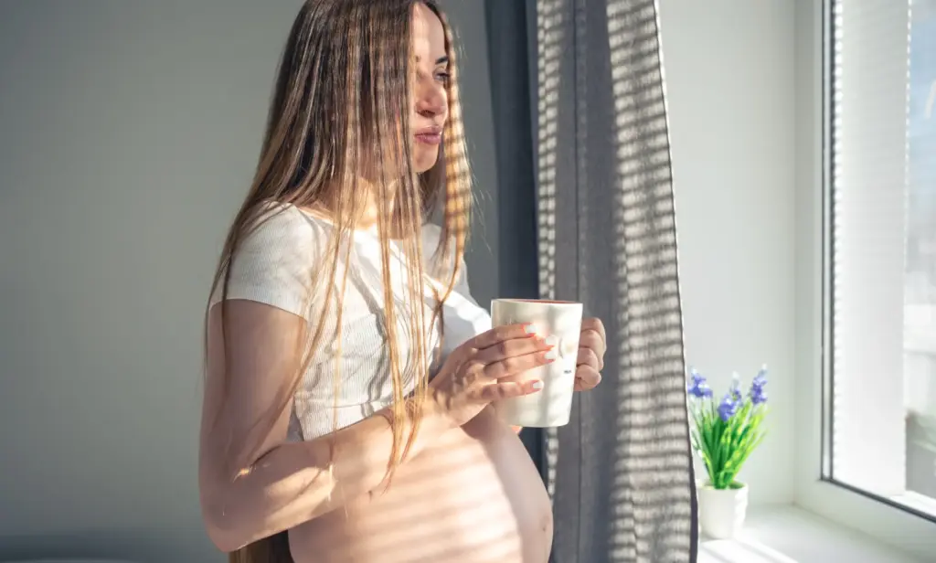 Mujer embarazada tomando una bebida junto a una ventana con luz natural.